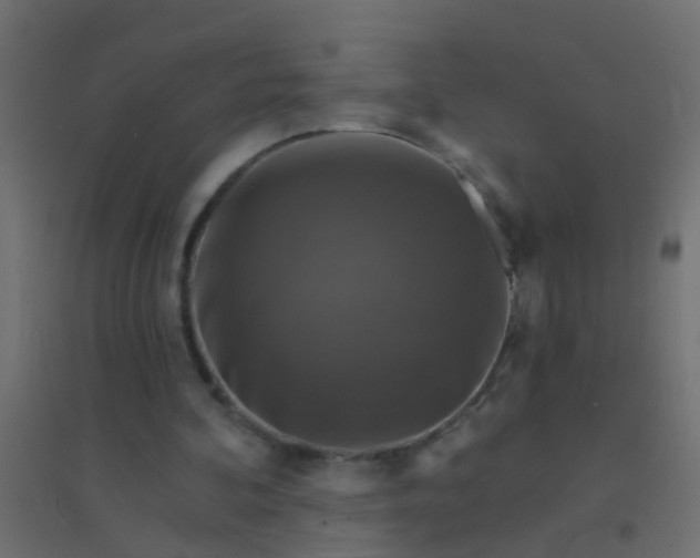 X0000094900292200712131437
