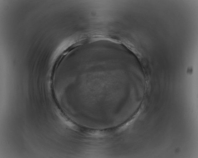 X0000094900293200712131437