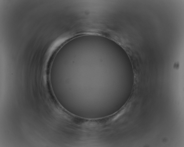 X0000094900294200712131436