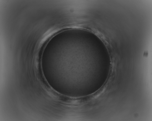X0000094900295200712131436