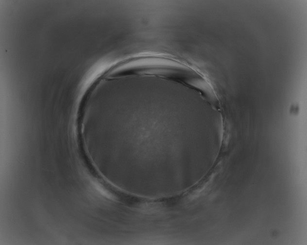X0000094900296200712131436