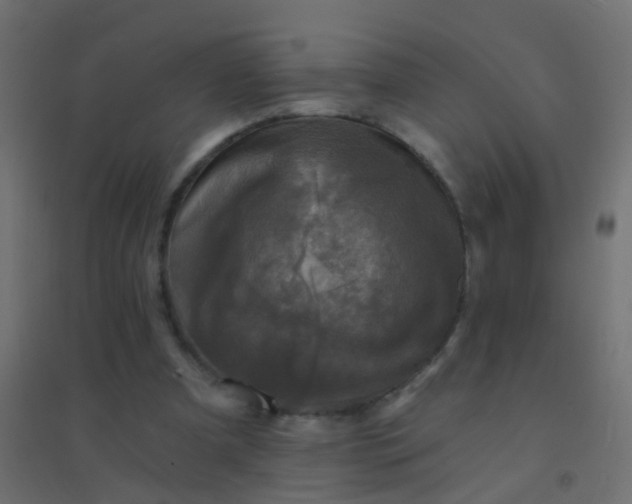 X0000094900297200712131436