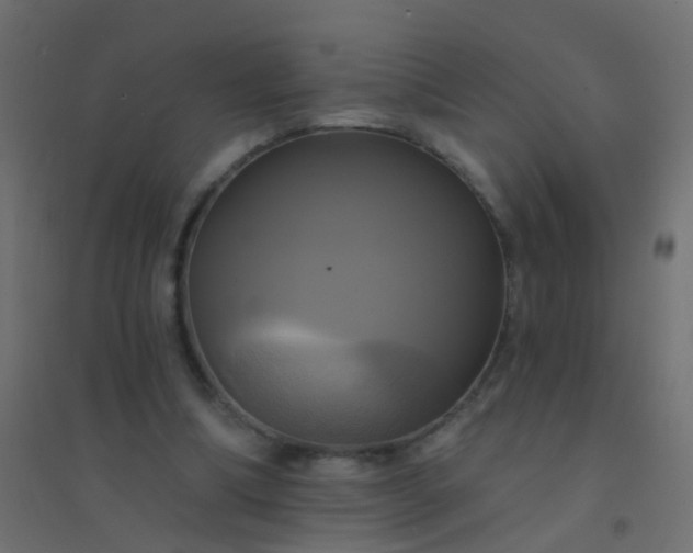 X0000094900298200712131436