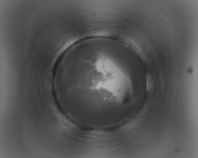 X0000094900300200712131436