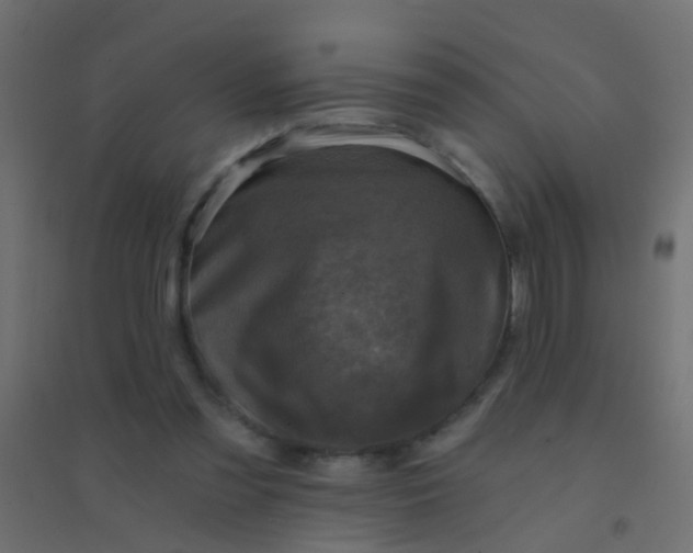 X0000094900301200712131436