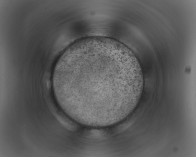 X0000094900302200712131436
