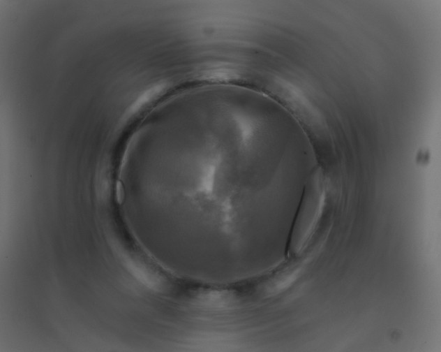 X0000094900304200712131436