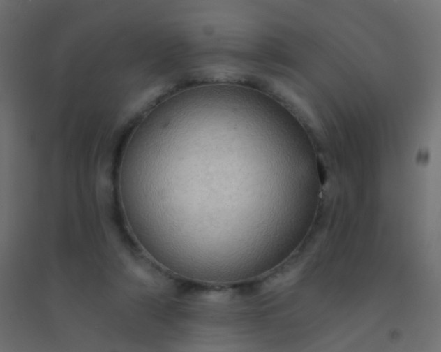 X0000094900306200712131436