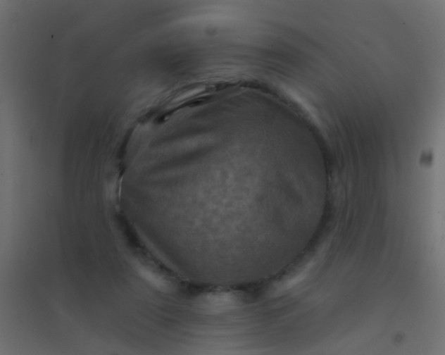 X0000094900307200712131436