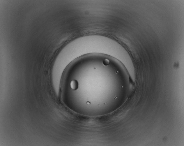 X0000094900308200712131436
