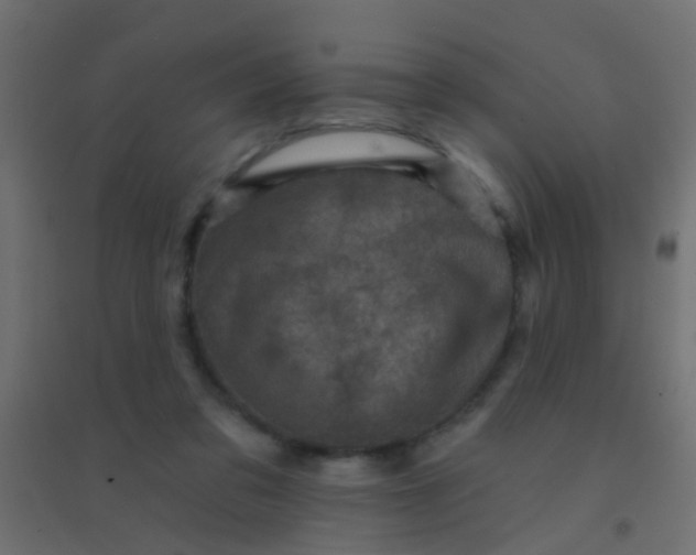 X0000094900309200712131436