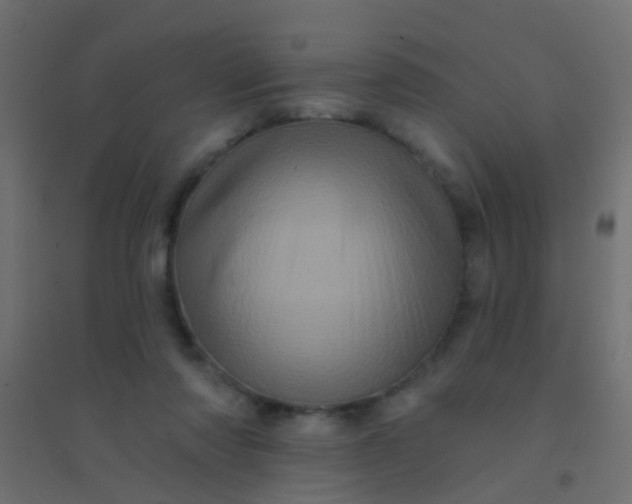 X0000094900310200712131436