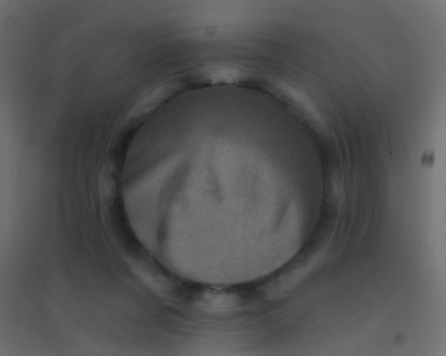 X0000094900311200712131436