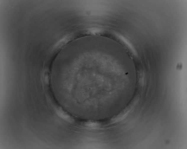 X0000094900313200712131436