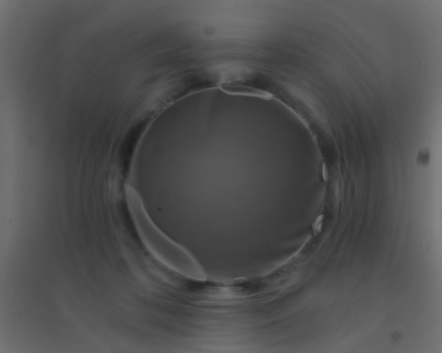 X0000094900316200712131436