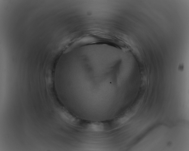 X0000094900317200712131436