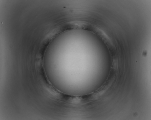 X0000094900318200712131436