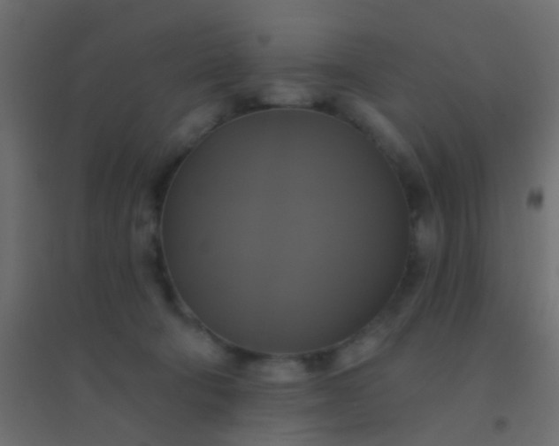X0000094900322200712131436