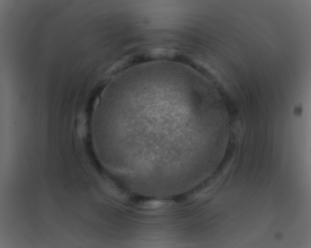 X0000094900323200712131436