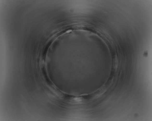 X0000094900324200712131436
