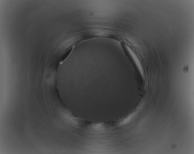 X0000094900325200712131436