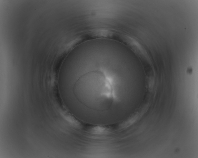 X0000094900326200712131436