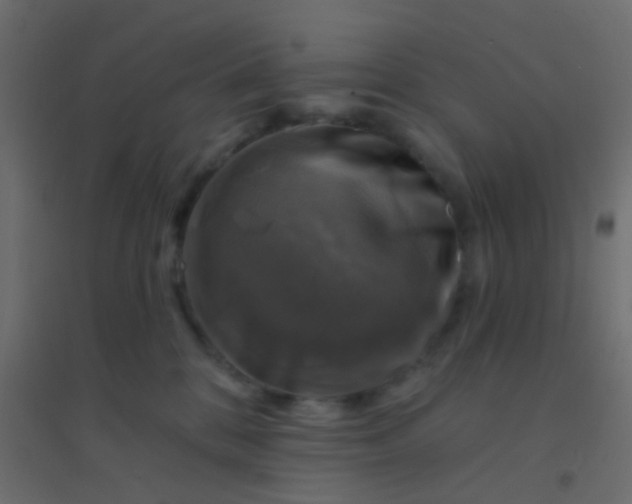 X0000094900328200712131436
