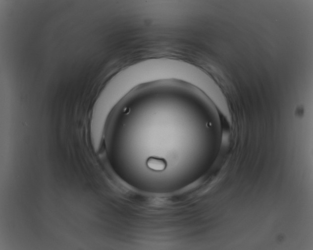 X0000094900333200712131436