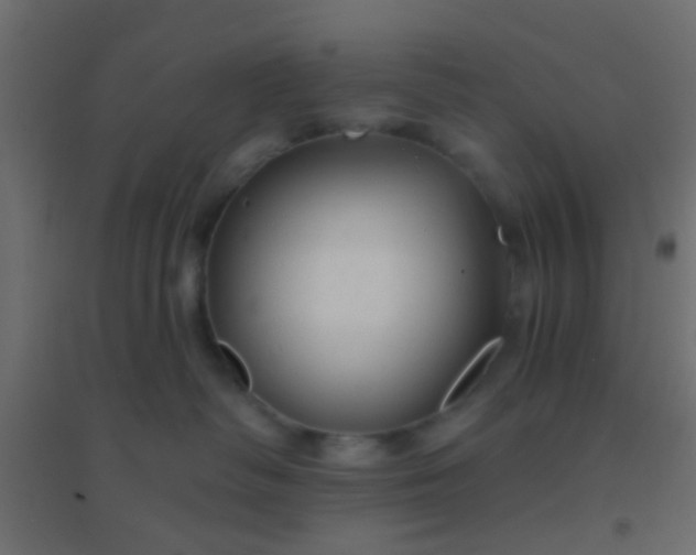 X0000094900334200712131436