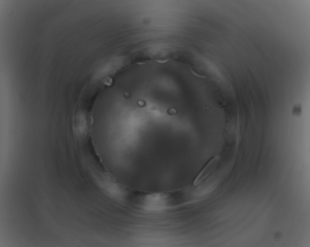 X0000094900335200712131436