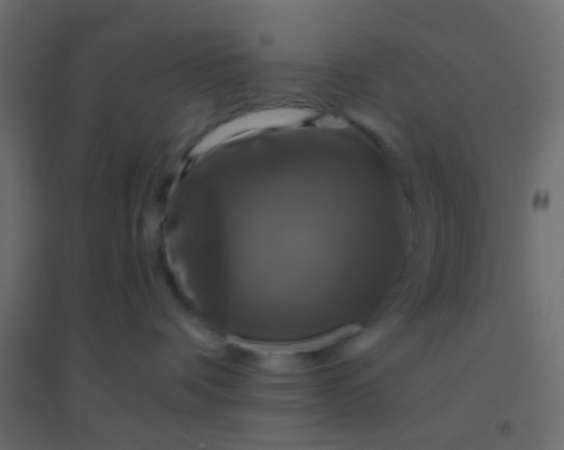 X0000094900336200712131436