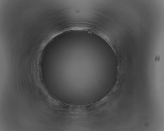 X0000094900337200712131435