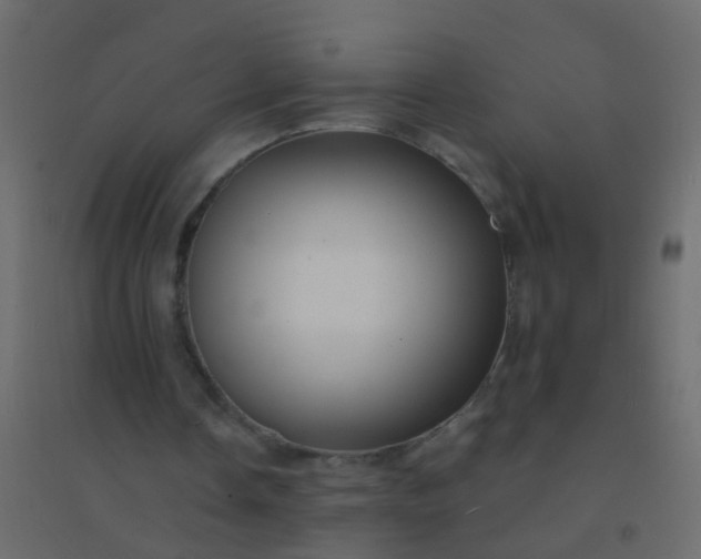 X0000094900338200712131435
