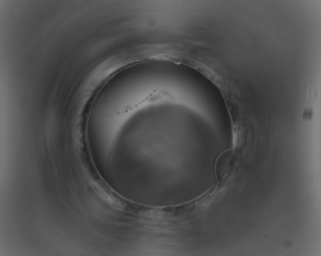 X0000094900339200712131435