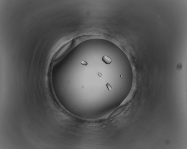 X0000094900340200712131435