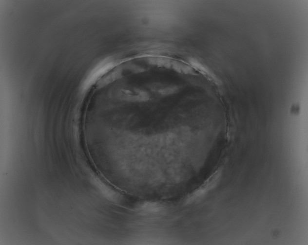 X0000094900341200712131435