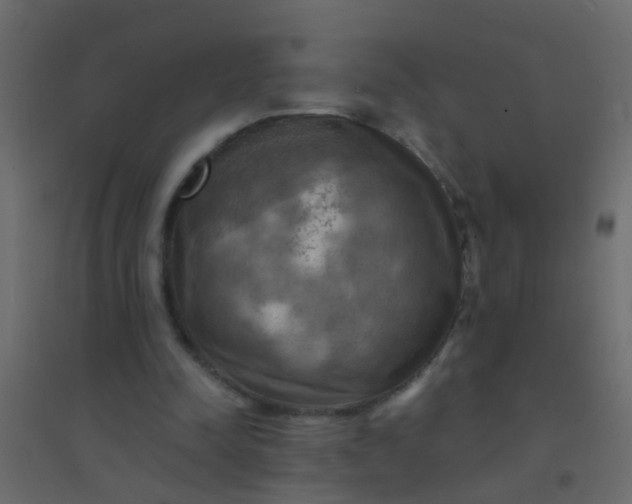 X0000094900342200712131435
