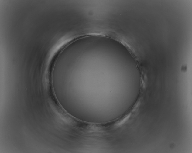 X0000094900343200712131435