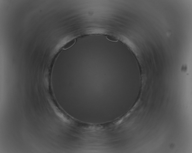X0000094900345200712131435