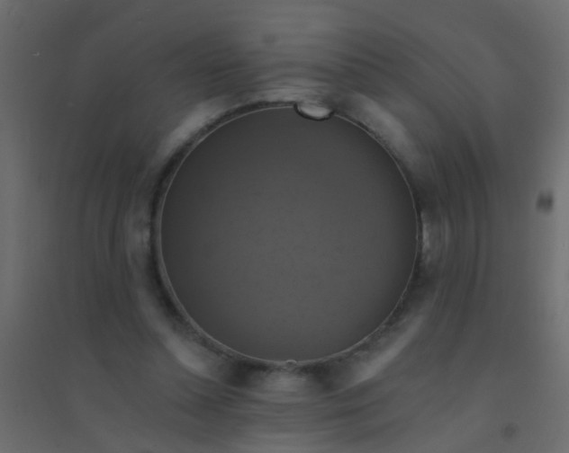 X0000094900348200712131435