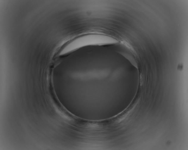 X0000094900349200712131435
