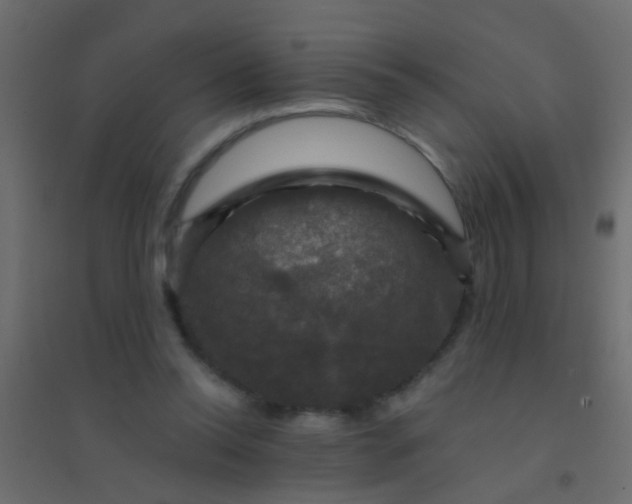 X0000094900350200712131435