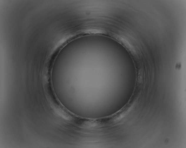 X0000094900351200712131435