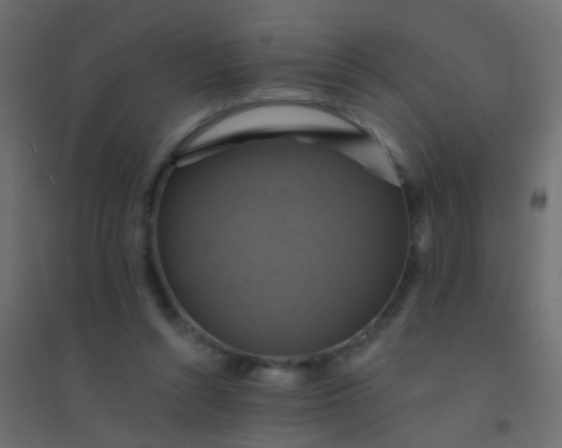 X0000094900352200712131435