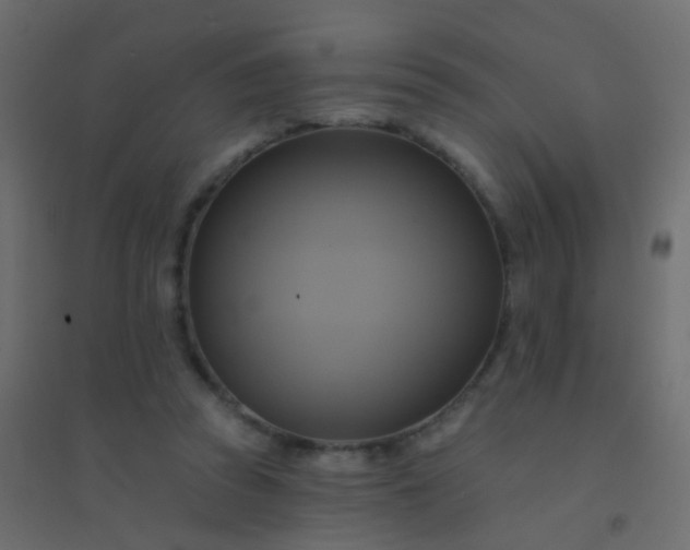 X0000094900353200712131435