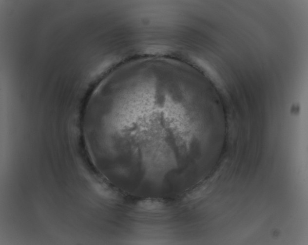 X0000094900354200712131435