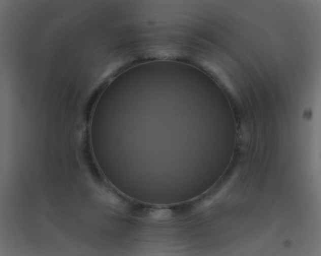 X0000094900355200712131435