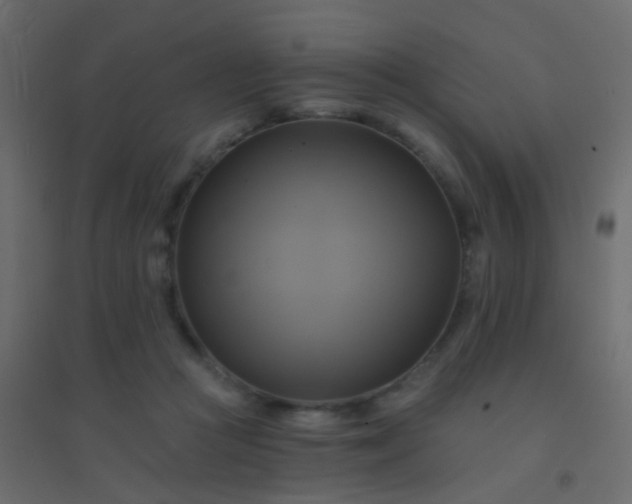 X0000094900361200712131436