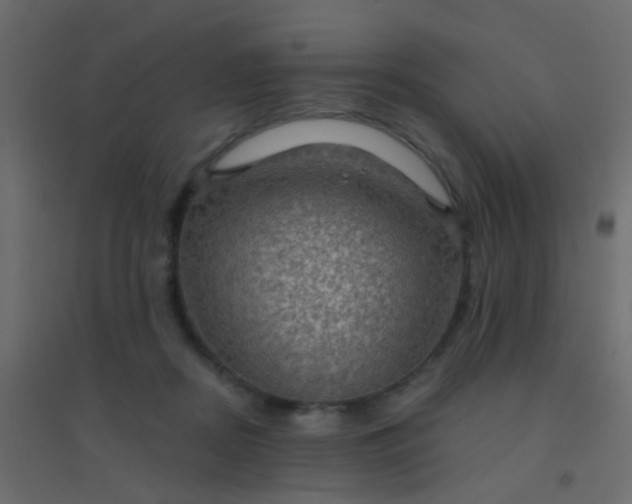 X0000094900362200712131436