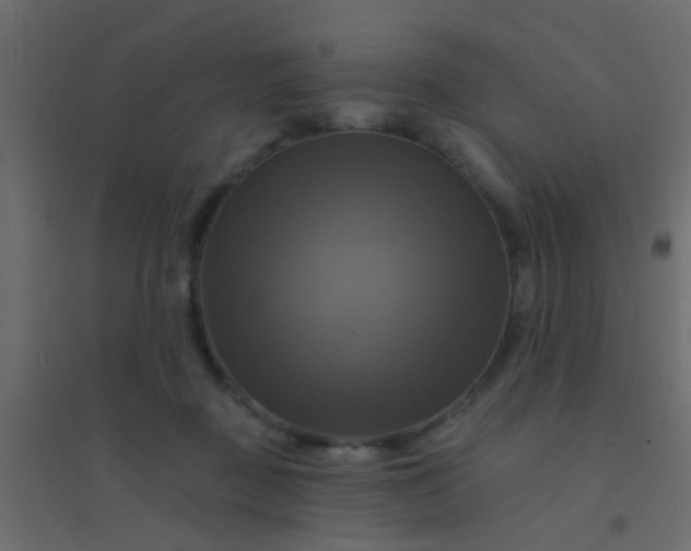 X0000094900363200712131436